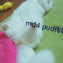 md4 pud传媒官网 工科）