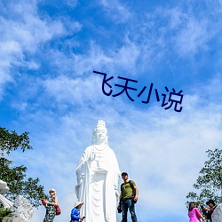 飞天小(小)说