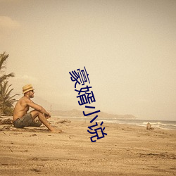 豪婿小说