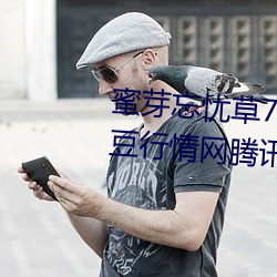 蜜(mì)芽忘(wàng)忧草768.mon.二区老狼大豆行情网(wǎng)腾讯:一(yī)款免(miǎn)费(fèi)的看(kàn)