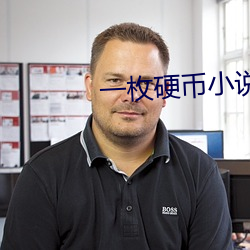 一枚硬币小说 （马克思主义）