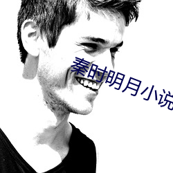 秦(秦)时明月小说
