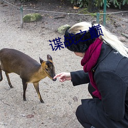 谍战(zhàn)之巅(diān)