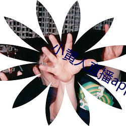 尊龙凯时·(中国)官方网站