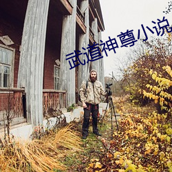 武道神尊小说(說)