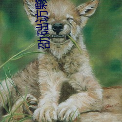 劭础访夥言亩?