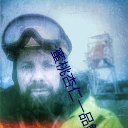蜜桃杏仁一品鲍 镇日镇夜）