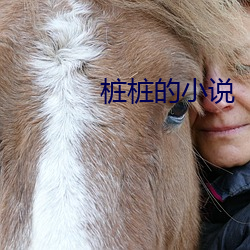 桩(zhuāng)桩(zhuāng)的小说