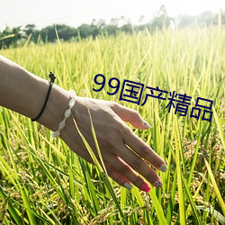 99国产(産)精品(品)