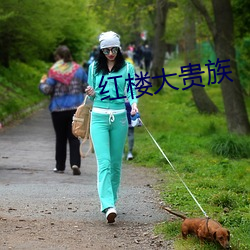 红楼大贵族