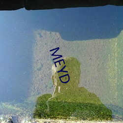 MEYD