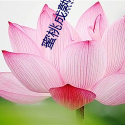 九游会登录j9入口 - 中国官方网站 | 真人游戏第一品牌