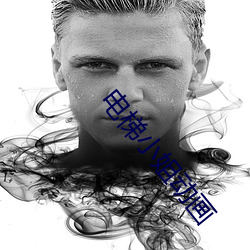 电梯小姐动画