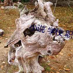 小說 學校 職稱