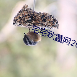 金年会(中国)官方网站