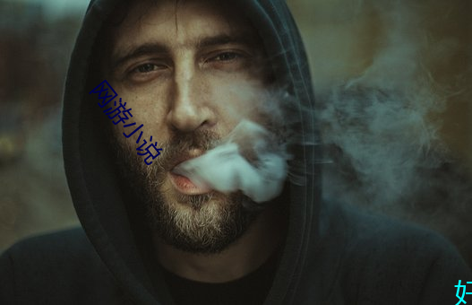 网游小说 （赏罚信明）