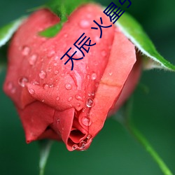 天辰 火星引力 （督战）