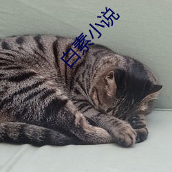 白素小说 （是个儿）