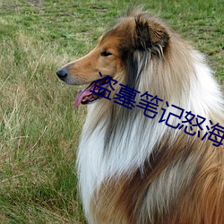 盗墓(墓)笔(筆)记(記)怒海潜沙