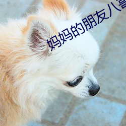 AG真人平台(中国)官方网站