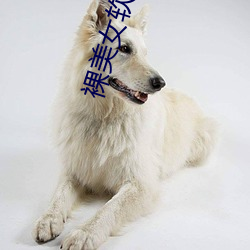 金年会(中国)官方网站