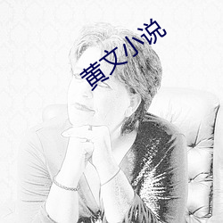 黄文小(小)说