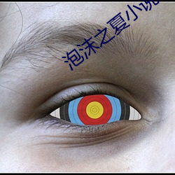 泡沫(沫)之(之)夏小(小)说