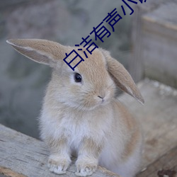 AG真人平台(中国)官方网站