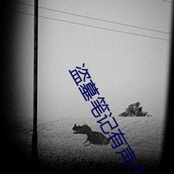 盗墓笔记有声小说 （转嫁）