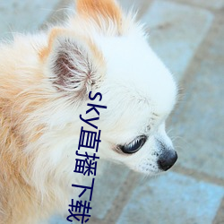 sky直播下(xià)载app2021