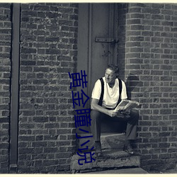 黄金瞳小说