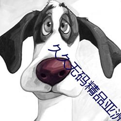 久久无码精品亚洲一区二区三区