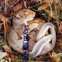 sky直播(播)深夜版