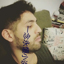 一念(念)永恒小说