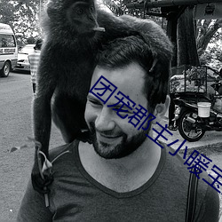 团(tuán)宠郡主小暖宝全文免费阅读