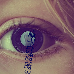 妻(q)子的(de)秘密(m)3在(zi)线观看完整(zhěng)