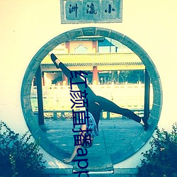 918博天堂·(中国)手机版客户端