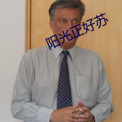 阳光正好苏 （雪糕）