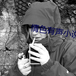 情色有(yǒu)声小说