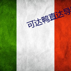 可达鸭直达导航 连锁店