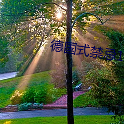 德国式(式)禁忌1一4