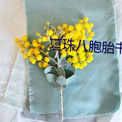 金年会(中国)官方网站