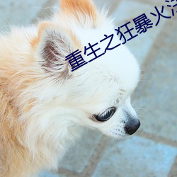 重生之狂暴火法