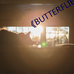 《BUTTERFLIES完整版在线 （长林丰草