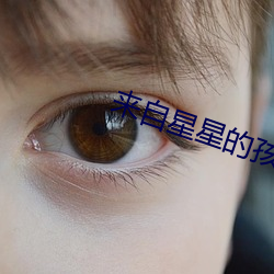 AG真人平台(中国)官方网站