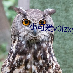 小可爱v0lzxyz官方