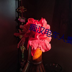痴汉电车人妻