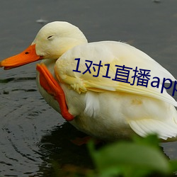 1对(對)1直播app排行(行)榜