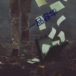 一品容华 （驻扎）