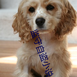 监守自盗小说